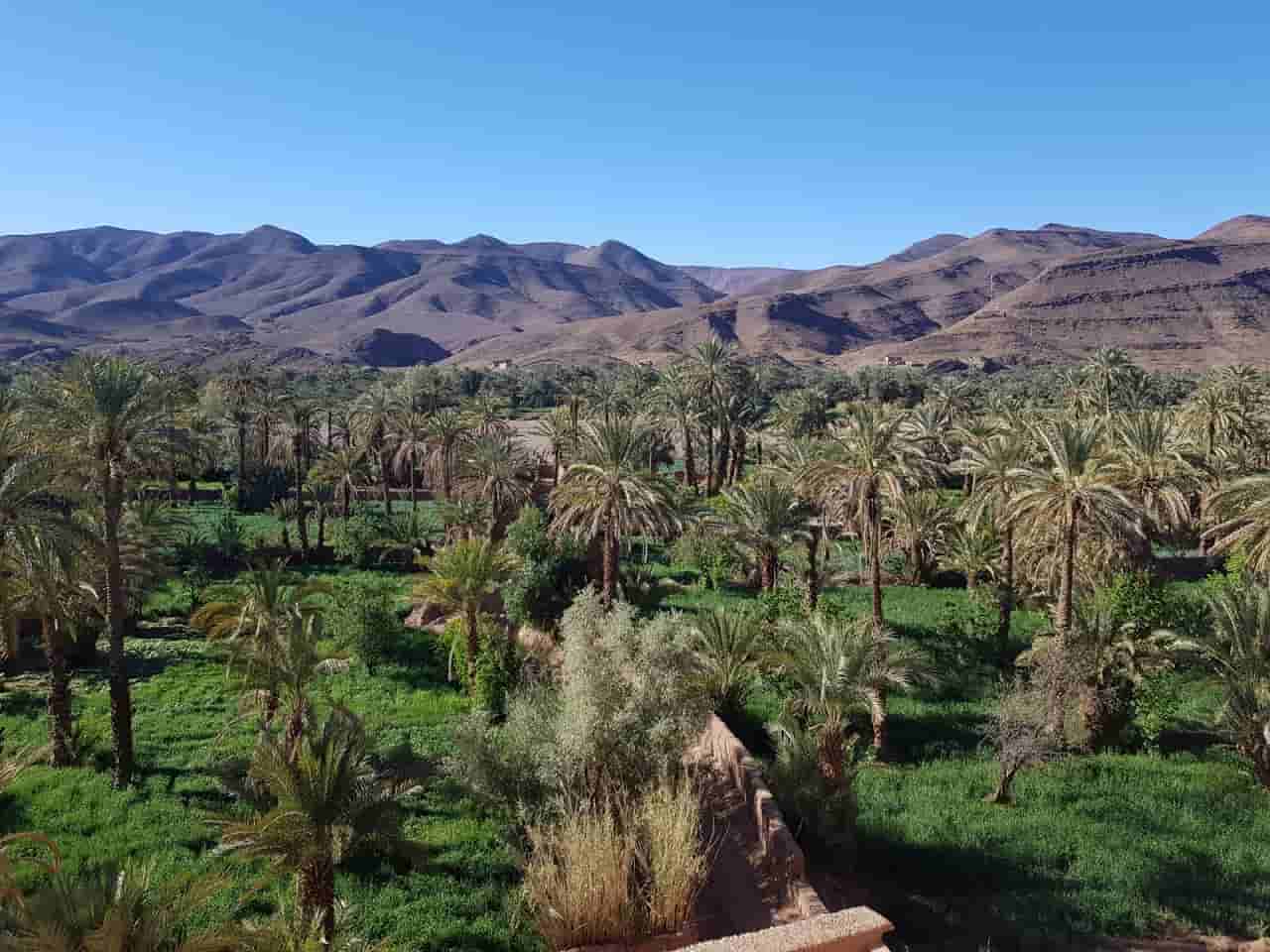 3-day desert tour Marrakech