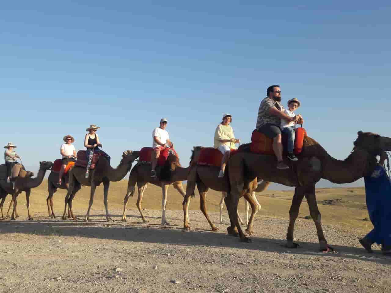 camel ride Agafay desert