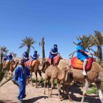 Camel ride excursions near me